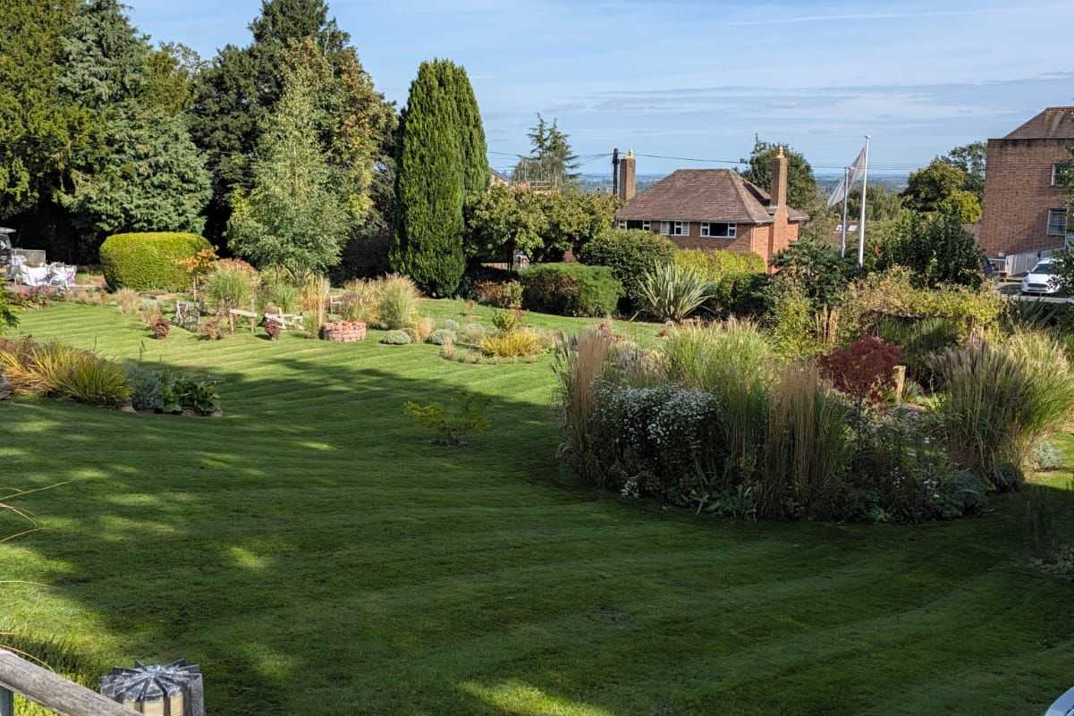 A tidy garden with a striped lawn, shrubs and flower beds.