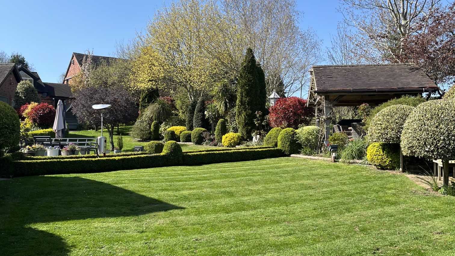 A striped lawn in a sunny garden with trees and shrubs behind.