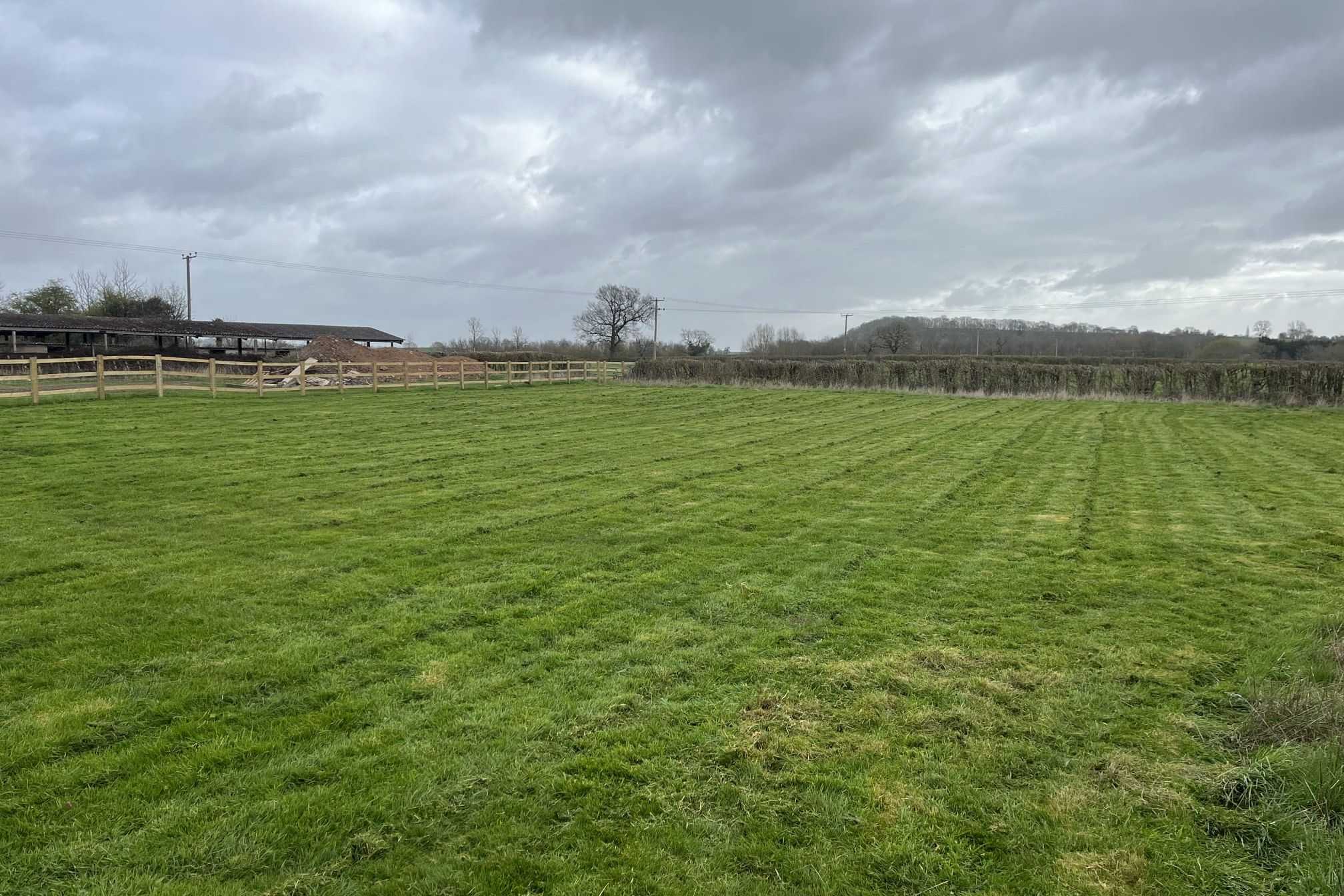 A wide field of freshly mown grass with straight stripes.