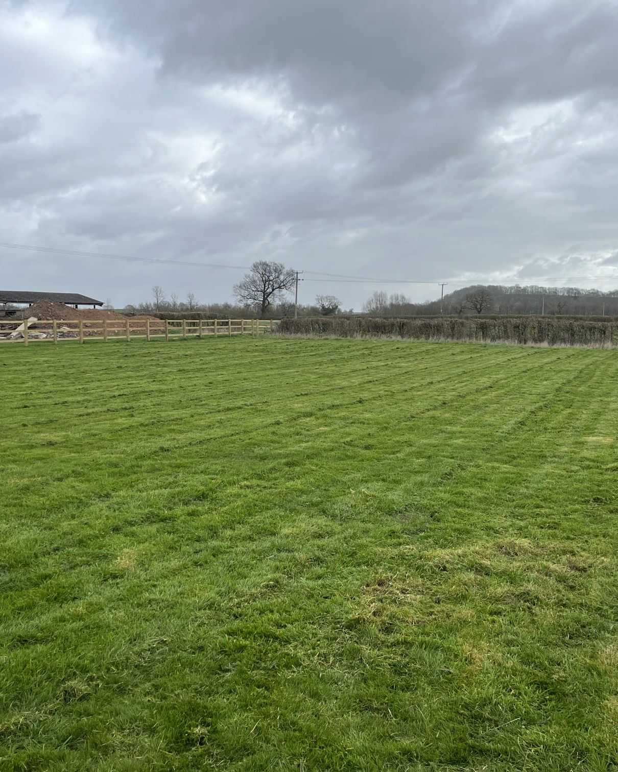 A wide field of freshly mown grass with straight stripes.